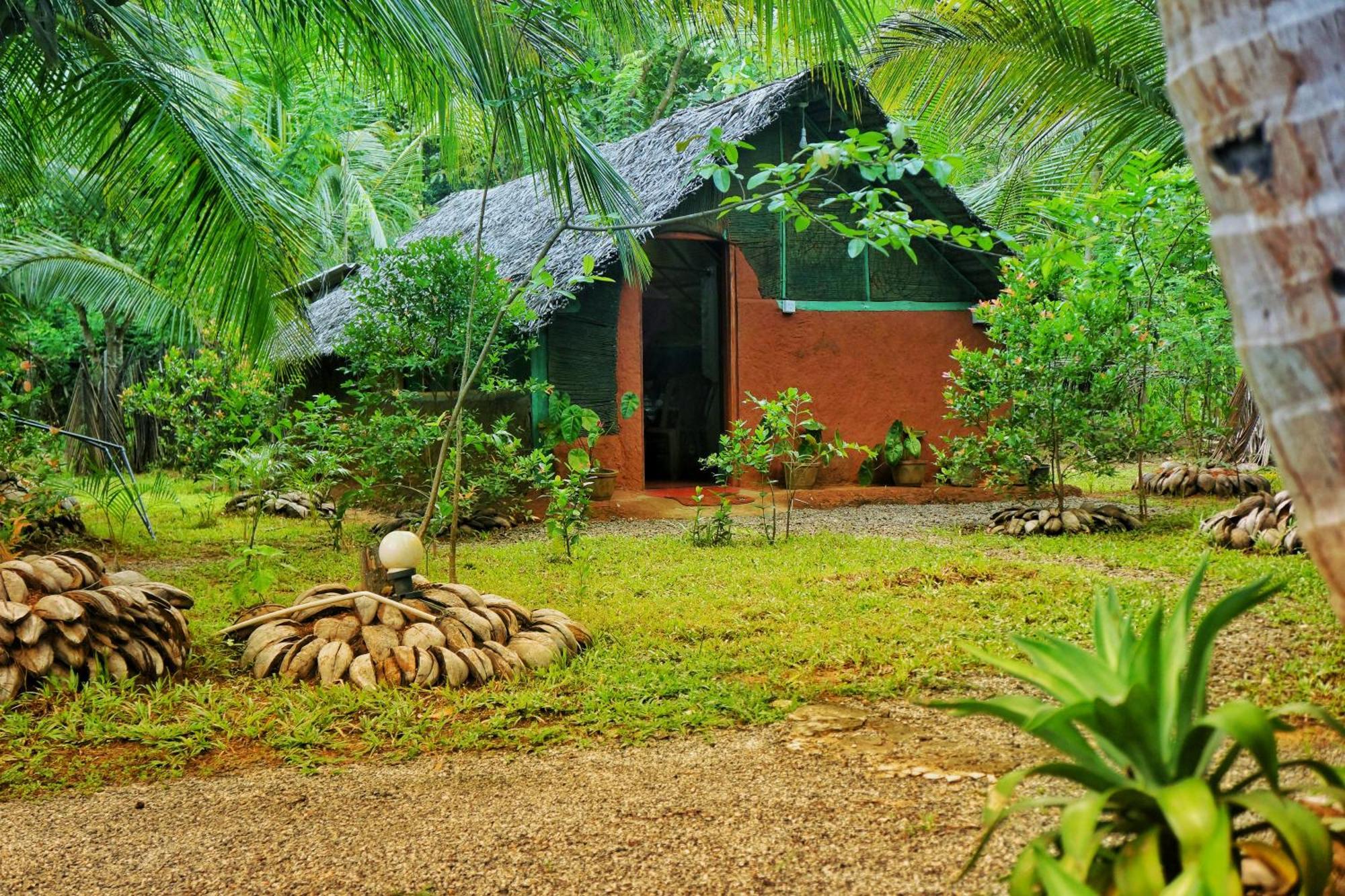 Passion Ray Villa & Tree Hut Sigiriya Rom bilde