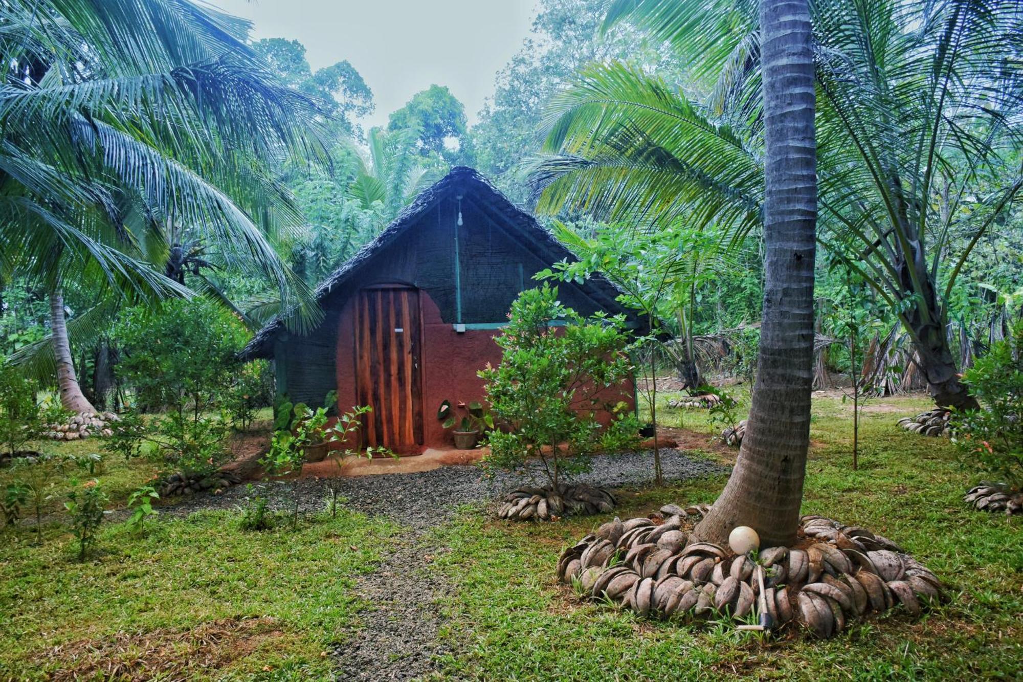 Passion Ray Villa & Tree Hut Sigiriya Rom bilde