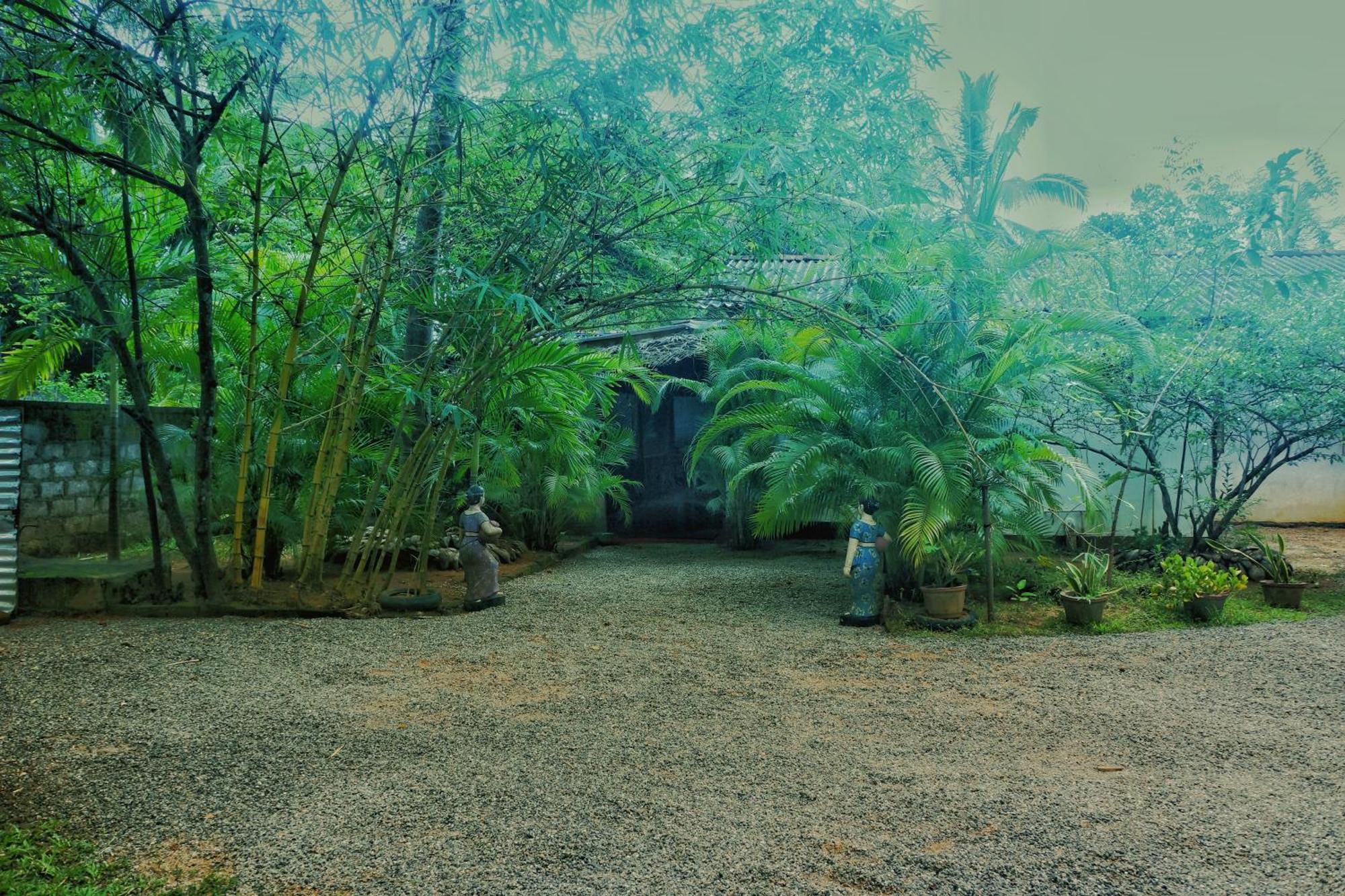 Passion Ray Villa & Tree Hut Sigiriya Eksteriør bilde