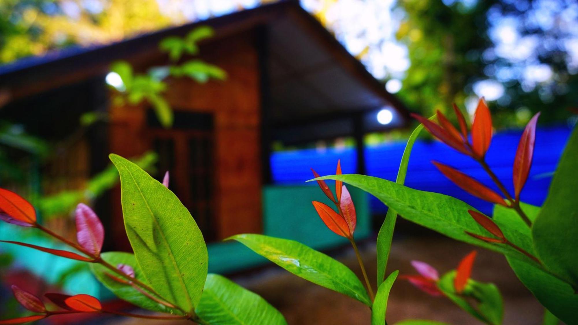 Passion Ray Villa & Tree Hut Sigiriya Eksteriør bilde